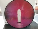 Altamont S/T Headphone Dust ALTLP4 Picture Disc Steven Wilson Porcupine Tree NM
