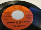 Clovers Winley 255 Wrapped up in a dream