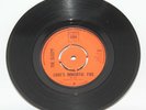The Sleepy ?– Love's Immortal Fire - 1968 Vinyl 7