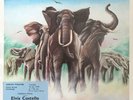 Elvis Costello Armed Forces Original Vinyl LP 1979 NMint plus Gig Ticket