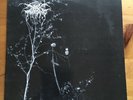 Darkthrone Under A Funeral Moon Original Vinyl Lp