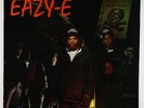 Eazy-E - Eazy-Duz-It LP - Ruthless VG+