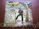 Bruce Ruffin Rain Very Rare Trojan Reggae UK Vinyl LP  Trojan Records