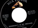 Nancy Adams Somebody 's in my orchard  Northern soul popcorn MINT-