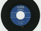 TEDDY REDELL 1960 ROCKABILLY 45 PIPELINER/I WANT TO HOLD YOU VADEN 301