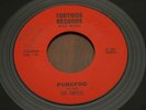 Turtles 45 Pungfoo Watusi RARE Detroit garage tittyshaker Tortoise Records 7