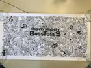 Mighty Mighty Bosstones Print Nan Coffey 305/500 Throwdown 19