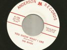 ROCKABILLY SURF INSTRO- RIVIES - YOU KNOW WHAT I LIKE- HEAR -on INDIANA ANDERSON