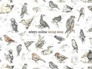 EDWYN COLLINS  LOSING SLEEP - 12