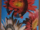 TORI AMOS postcard disc 4 inch PROFESSIONAL WIDOW rare