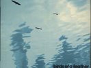 Birds Of A Feather Spontaneous Music Ensemble French vinyl LP album record
