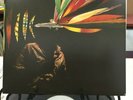 Polyenso - One Big Particular Loop - Heads Up - 2014 - 2XLP NM/NM