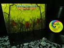 RARE '68 Orig AMERICAN BLUES   DO THEIR THING   CREAM HENDRIX PSYCH ZZ TOP a+