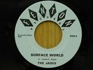 The Jades 45 Surface World bw We Got Something Going on Fenton Michigan garage