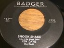 KILLER RARE ROCKABILLY 45 - KEN DAVIS SHOOK SHAKE on BADGER  RACINE WISCONSIN