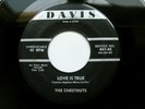 Doo Wop 45 : The Chestnuts   Love Is True   It's You I Love on DAVIS - VG+ to EX