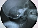 Elvis Presley - Love Me Tender X-RAY USSR ROENTGEN Bones Record