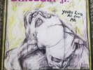 Dinosaur jr You're Living All Over Me vinyl LP  SST
