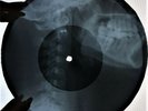 Led Zeppelin - Tangerine X-RAY USSR ROENTGEN Bones Record SKULL