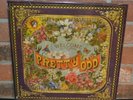 PANIC AT THE DISCO - Pretty Odd, Limited COLORED VINYL LP New & Sealed OOP