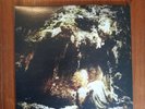 Wolves in The Throne Room - Celestial Lineage