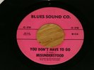 MISUNDERSTOOD  GARAGE BLUES 45 