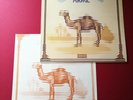 Camel Mirage UK 1st + INSERT Superb NM vinyl Deram GAMA Robert Stace cover