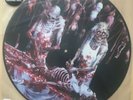 CANNIBAL CORPSE Butchered at Birth Picture LP Vinyl, Deicide, Death