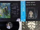 CHRIS SQUIRE FISH OUT OF WATER ATLANTIC P-10068A Japan OBI VINYL LP