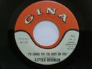 Little Herman I'm Gonna Put The Hurt On You VERY RARE original 45 MINT Gina 751