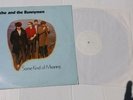ECHO AND THE BUNNYMEN - Some kind of meaning (Live 1983) - Vinyl LP