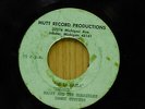 Harry the Horribles 45 Ah La Lahla bw Basso acetate Detroit Latin Garage Mutt