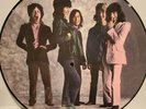 Rolling Stones (Sticky Fingers) Vinyl Picture Disc Lp -Rare Limited Edition NEW