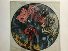 Iron Maiden NUMBER OF THE BEAST picture disc LP RECORD