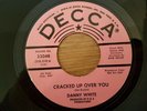 Northern Soul - Danny White - Cracked Up Over You - Rare Decca Demo 45 Mint-