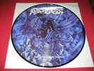 SACRILEGE Lost In The Beauty You Slay PIC vinterland unanimated in flames taetre