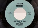 RONNIE PUTIRKA Don't Shake Me Down RARE Detroit Northern soul MOD garage