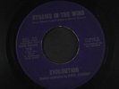EVOLUTION: Straws In The Wind / Sandra Allison Jeffrey And Bill 45 (obscure an
