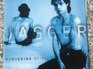 Mick Jagger: Wandering Spirit (Vinyl)