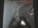 Cocteau Twins 