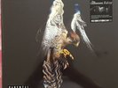 THE COURTEENERS - Falcon – White Vinyl LP RSD19 RECORD STORE DAY