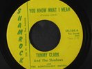 TOMMY CLARK & SHADOWS: Eileen / You Know What I Mean 45 (moody winner with jive