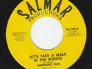 Morning Sun - Let's Take A Walk In The Woods / Dark Hair - 1969 - Salmar - Texas