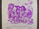 NEW RIDERS OF THE PURPLE SAGE: New Riders Of The Purple Sage LP (2nd press, ha