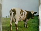 PINK FLOYD ATOM HEART MOTHER STEREO G/F SLEEVE UNBOXED HARVEST SHVL 781