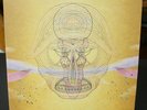 Devendra Banhart What Will We Be vinyl record album Sleeve VG+ Vinyl NM