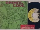 III CLASSE : ANIMAL LOVE / JIMMY    -    7