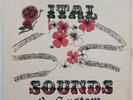 Dub Specialist ITAL SOUNDS & SYSTEM DUB Studio One LP SILKSCREEN COVER Listen