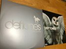 Deftones White Pony & Diamond Eyes Vinyls. Great Condition. Never used.