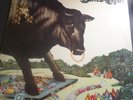 BullAngus Self Titled 1971 LP Album Mercury SRM1-619 Bull Angus Vinyl